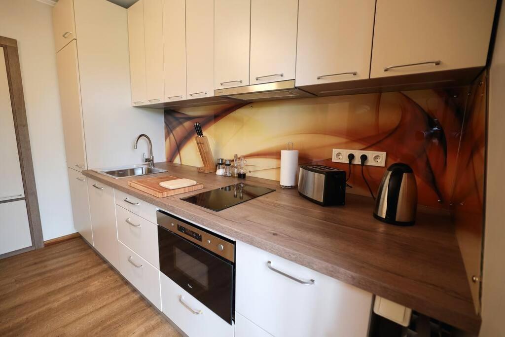 Greenland Apartments Cēsis Εξωτερικό φωτογραφία